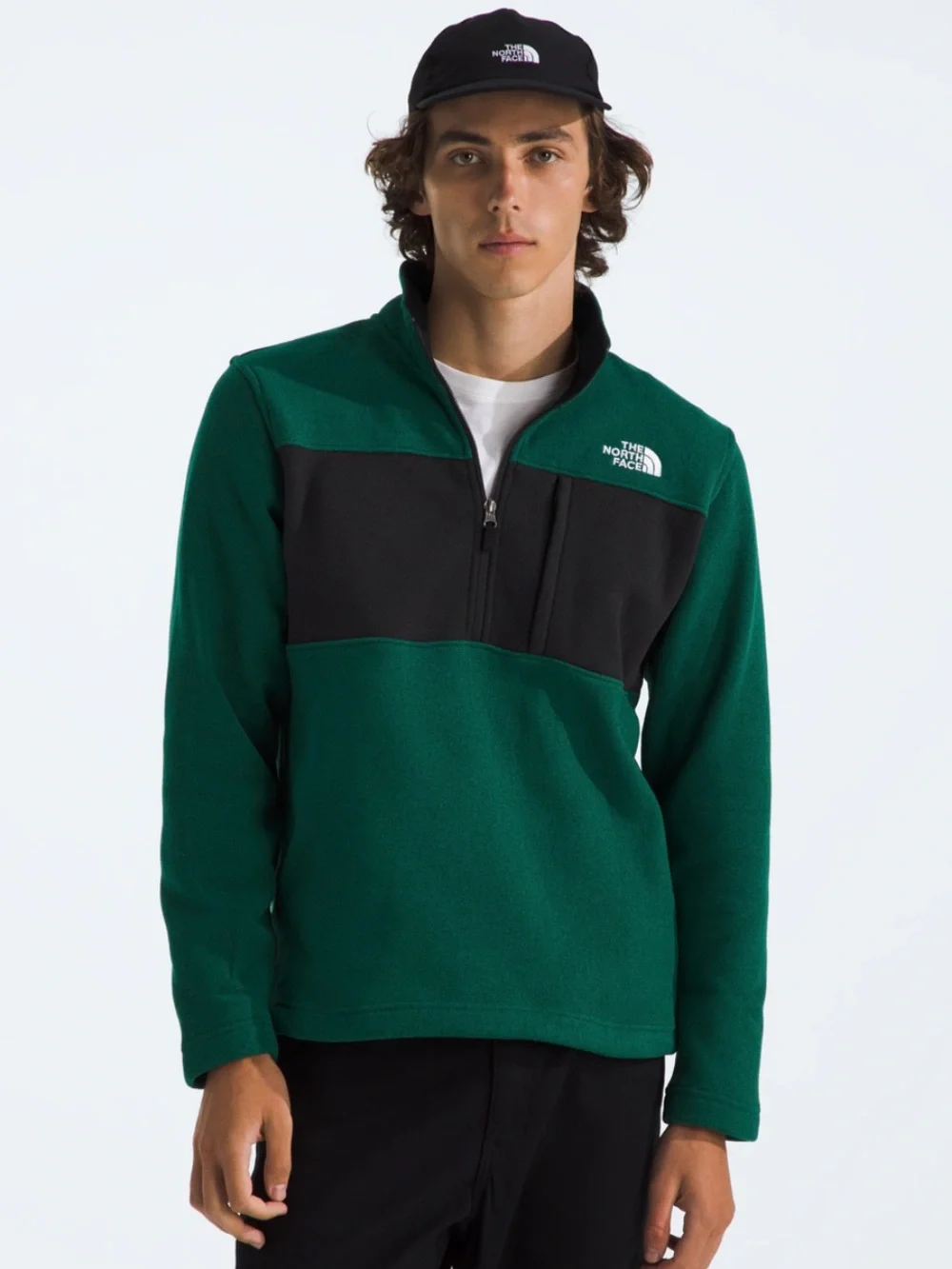 The North Face men’s Gordon lyons 1/2 zip sweatshirt fleece pullover top NWOT